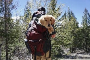 Packa vandringsryggsäck