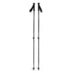 Black Diamond Explorer 2 Trekking Poles vandringsstavar