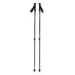 Black Diamond Explorer 2 Trekking Poles vandringsstavar