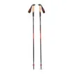ett par Black Diamond Pursuit Carbon Z Poles vandringsstavar (unisex)