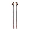 ett pare Black Diamond Pursuit Shock Trekking Poles vandringsstavar