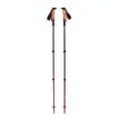 ett pare Black Diamond Pursuit Shock Trekking Poles vandringsstavar