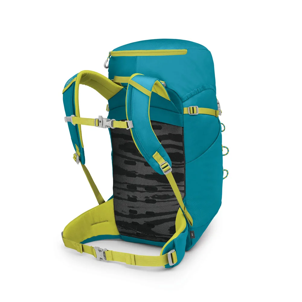 ryggpanel av en Blue Spikemoss Lemongrass