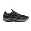 Saucony Ride 15 TR terränglöparskor (dam)i färgen black/carcole