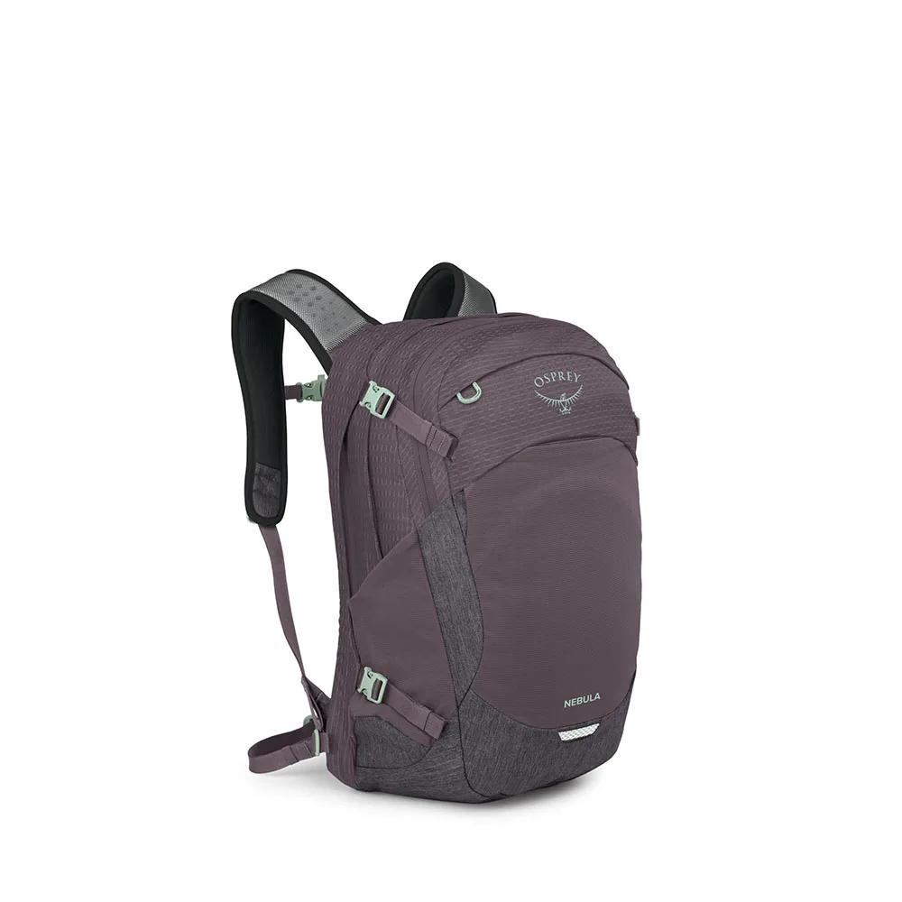 Osprey Nebula Graphite Purple Heather side view