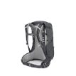 Baksida ryggpanel av Osprey Sirrus 24L dagsryggsäck (dam)
