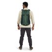 Osprey Hikelite LT 30 Tundra green on model