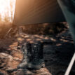Graninge orsa vid ett tält