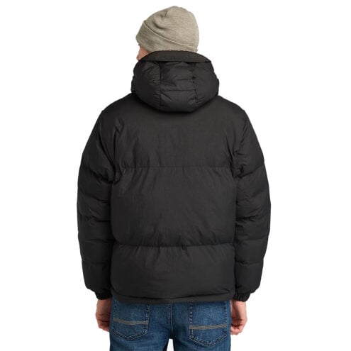 baksida av Timberland Howker Durable Water Repellent Puffer Jacket vinterjacka (herr) på en modell