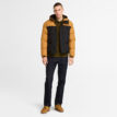 en modell bär Timberland Durable Water Repellent Puffer Jacket vinterjacka (herr)