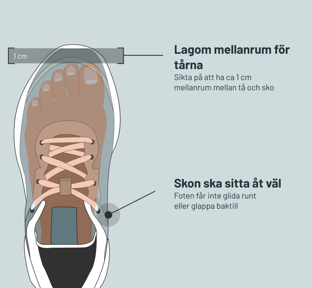 Illustration med tips på hur en löparsko ska sitta